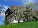 Fruehling am joosenhof